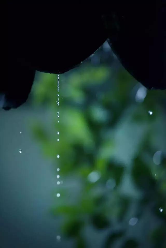 “诗中雨，雨中情”，“美翻”整个春天