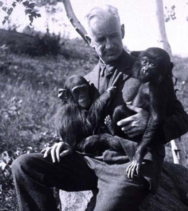 前苏联科学家人猿杂交实验，寻找了5名志愿者，最后结果怎么样