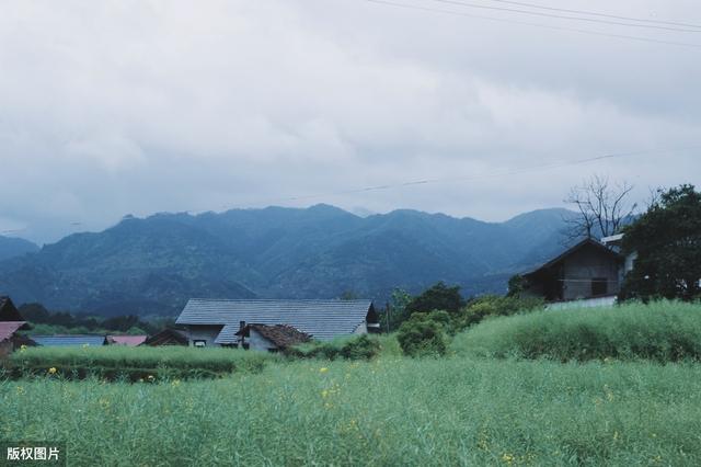 宋朝诗人一首诗被选入小学课本，短短28字写出最美乡村四月