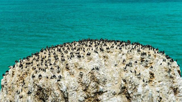 青海是新疆与西藏的“融合”，错过青海，你就错过了12次旅行