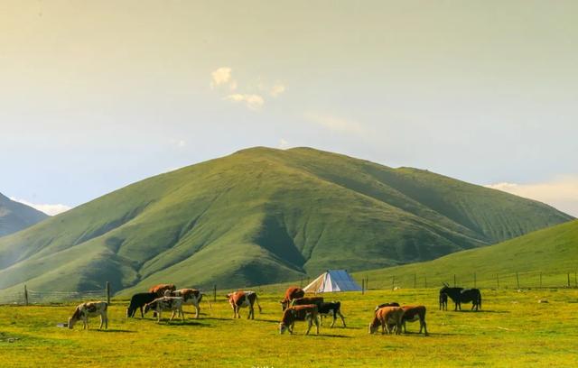 青海是新疆与西藏的“融合”，错过青海，你就错过了12次旅行