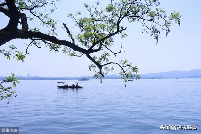 清明读诗：人歌人哭清明日，花开花落昨夜风