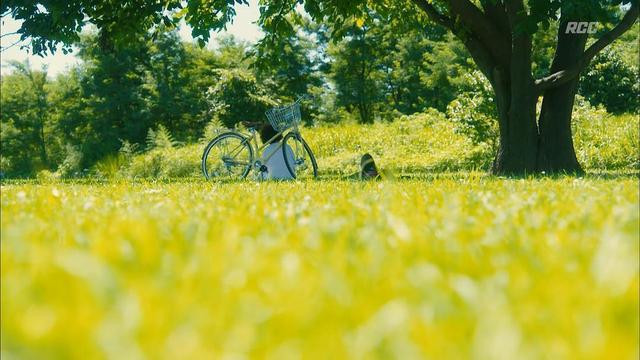 8.2《人间值得》：人间值得与否没有答案，重要的是自己的每一天