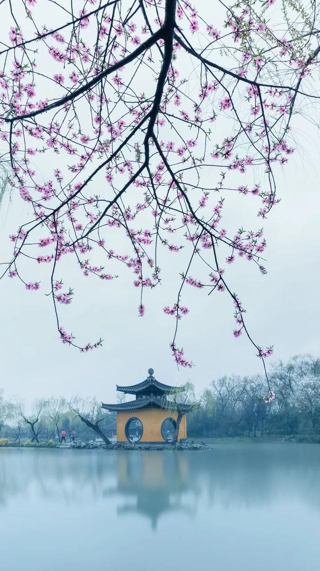 一到春天，中国就美哭了全世界！