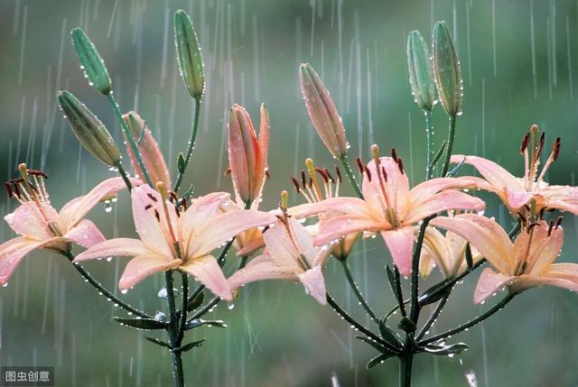 散文丨赵丰：且听雨声