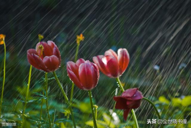 元代诗人虞集一首经典的七绝《听雨》，句句伤感，道尽人生的无奈