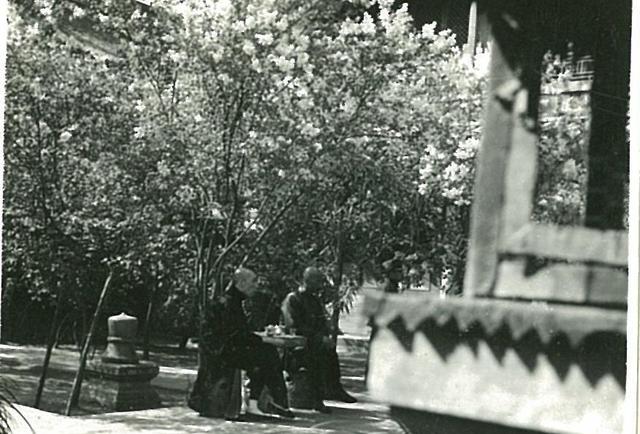 “崇效寺的牡丹，花之寺的海棠”一日看遍旧京花