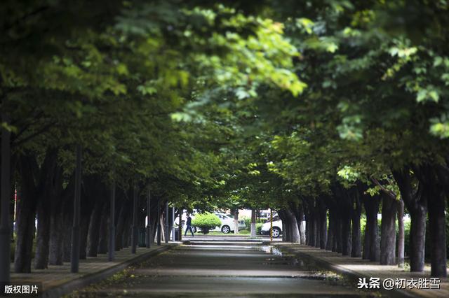 说古道今：立夏之美，美在夏字