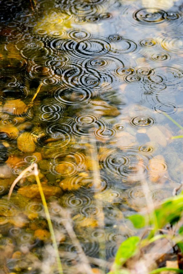 诗词丨夏天的雨，落在了诗词里，美到极致