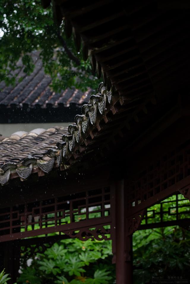 又到一年梅雨季，雨中的江南园林是最美的一刻