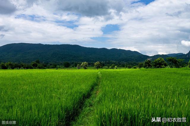 二十四节气之芒种诗，四野秧田，处处菱歌，家家麦饭