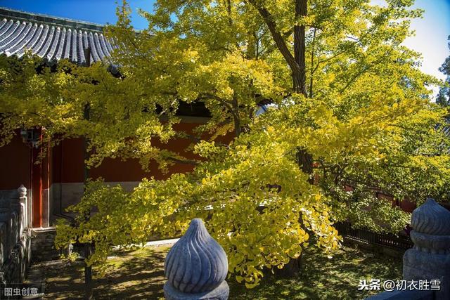 纳兰性德词《浣溪沙·大觉寺》：诸天花雨，相对忘言