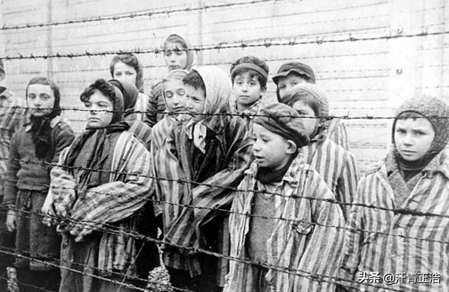 希特勒“优胜劣汰”法则下，犹太人被迫害，黄种人和黑人境况如何