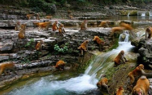 山西又一景点走红，山水优美气候宜人，有“晋城九寨沟”之称