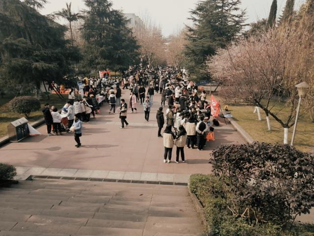 那些年在学校经历的那点事儿