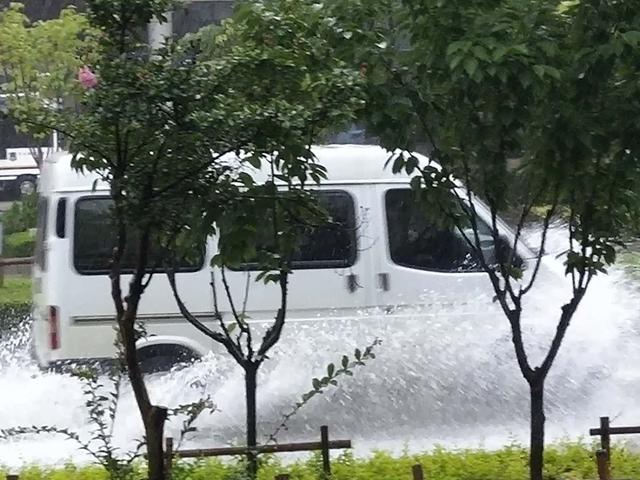 花笺记——雨是雨中花，妾是雨中仙