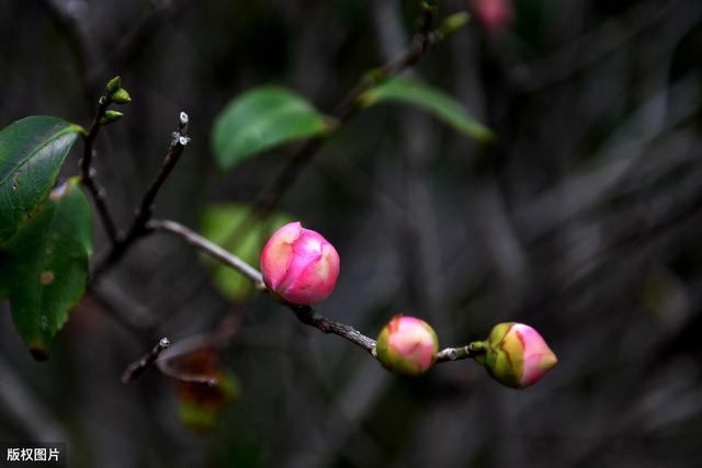 大理：将寻常日子过好，自有风花雪月现前