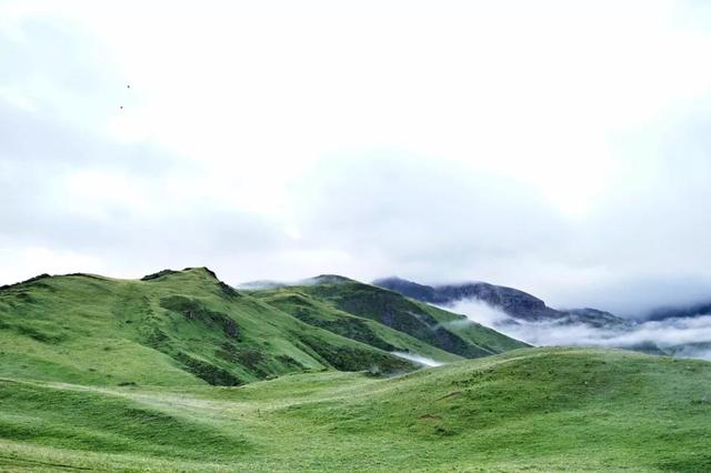 霸占中国95%的美景！全球最美高铁线！一路连接青甘川