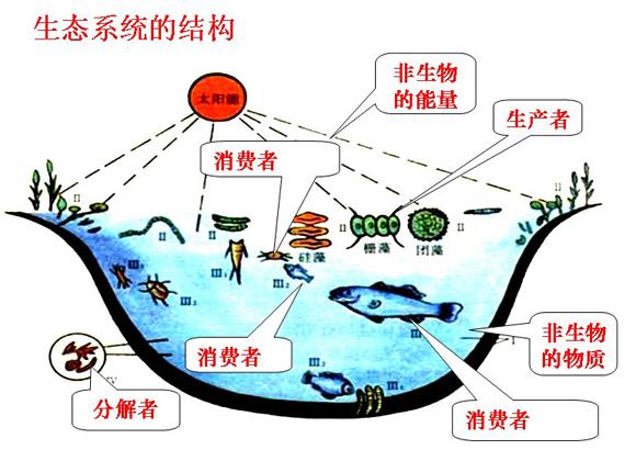 地外生命探索的最大热门——欧罗巴（木卫2）