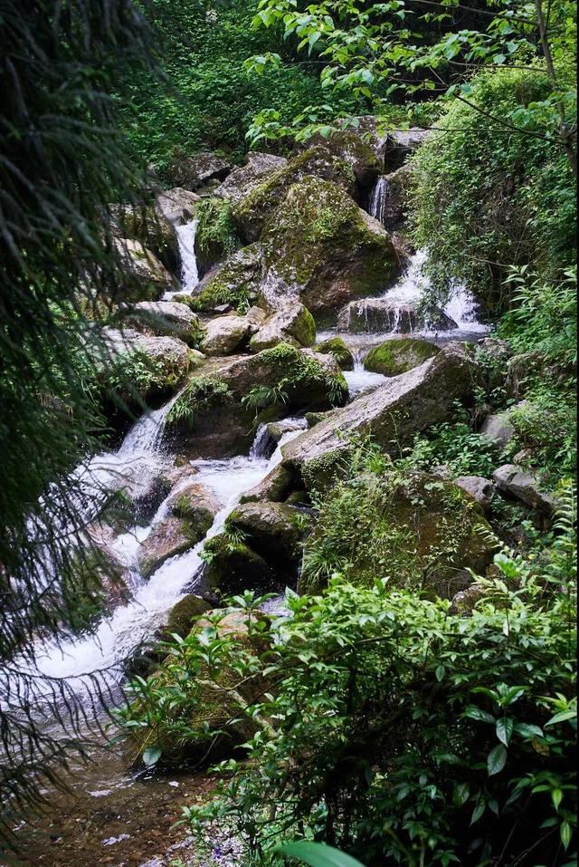 不去锦里，不去洪崖洞，这个夏天，就去川渝这10个地方