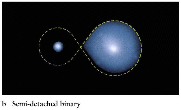 如果宇宙是一片星海，超新星就是宇宙生态系统中的“鲸落”