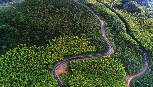 泡温泉、看萤火虫、坐小火车、划竹筏，这个小众旅游地不容错过