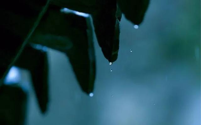 今夜，与你读书品茗，闲听雨声