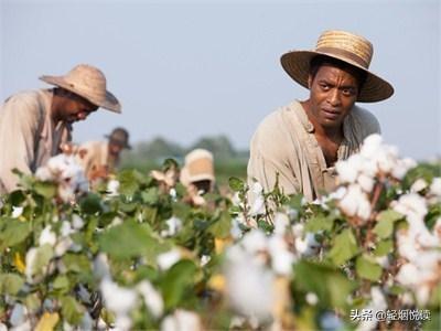 《为奴十二年》：从所罗门的三次自救，探讨恶劣环境中的生存智慧