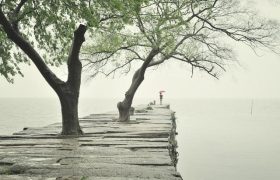 诗词，不知何处雨，已觉此间凉