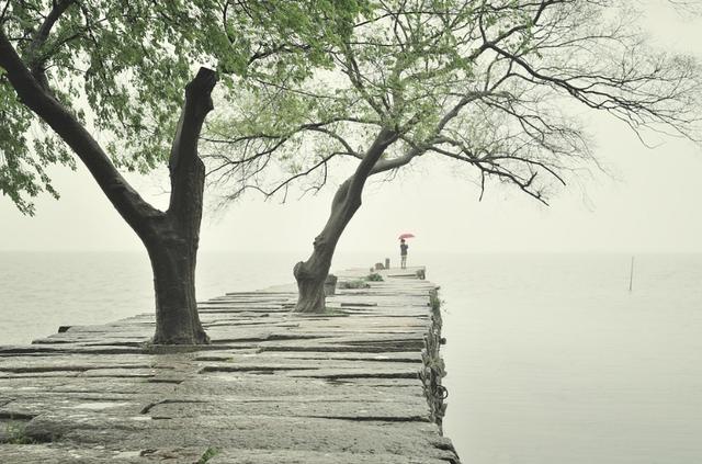 诗词，不知何处雨，已觉此间凉