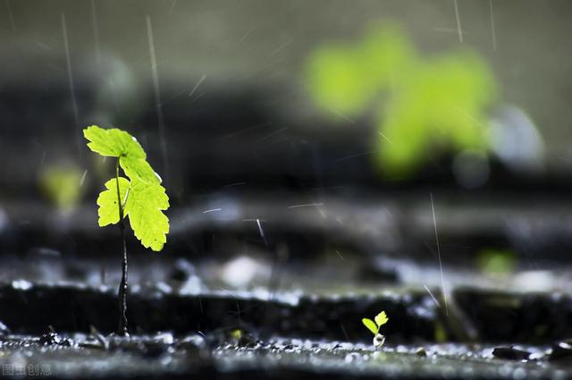 诗词 | 下雨的日子，思念总是变得绵长