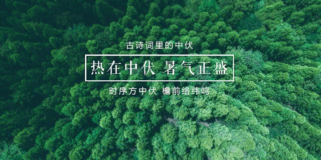 「诗词鉴赏」热在中伏 暑气正盛，古诗词里的中伏