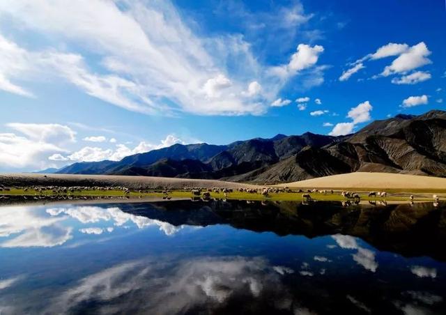 夏天的西藏，你值得期待的人间天堂