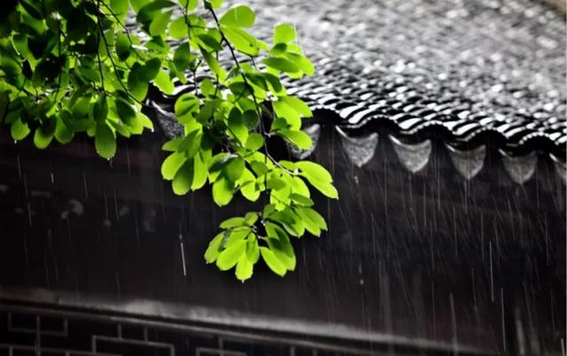 今夜，与你读书品茗，闲听雨声