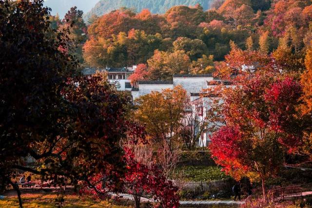 不是篁岭、不是石城村，这座徽州小村，光看图已醉