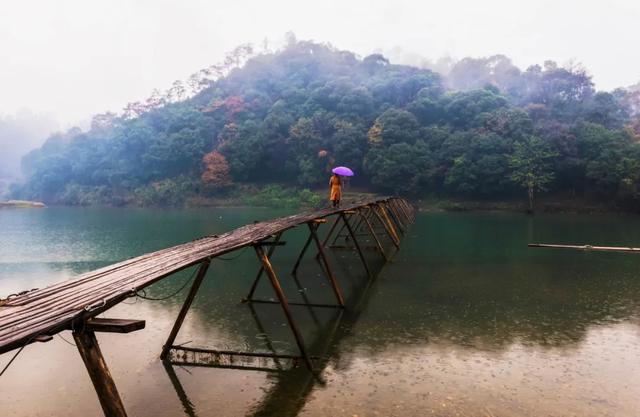 20首微雨诗词，不知何处雨，已觉此间凉