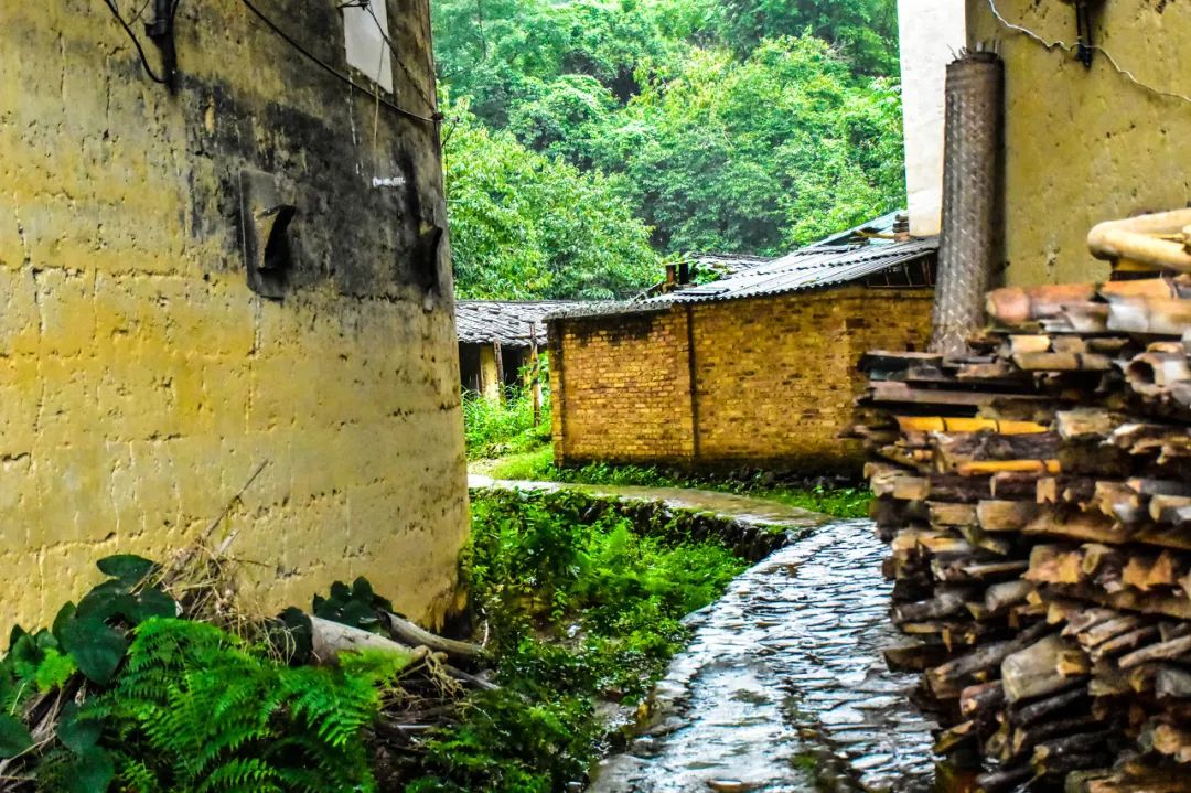 《花木兰》取景地曝光：一不小心，美哭了全世界