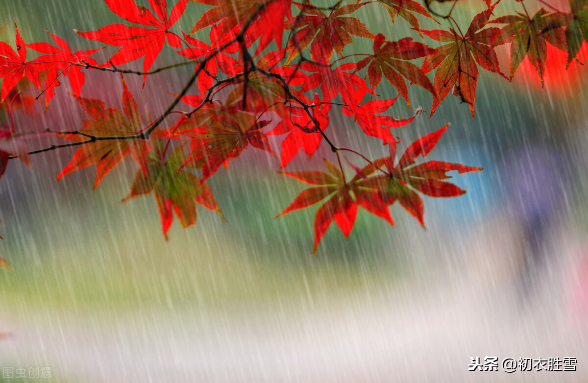 细品秋雨7首，看杨万里如何破解秋雨穷愁，方法很管用