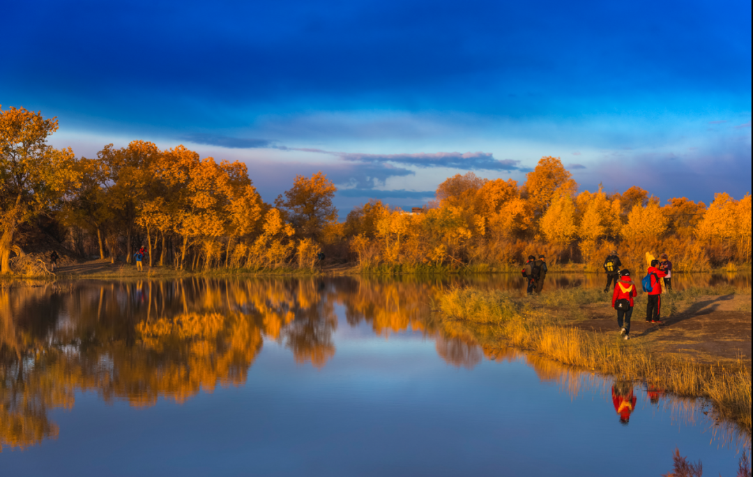秋天的童话不只在稻城，中国最勾魂的秋色尽在内蒙古额济纳胡杨林