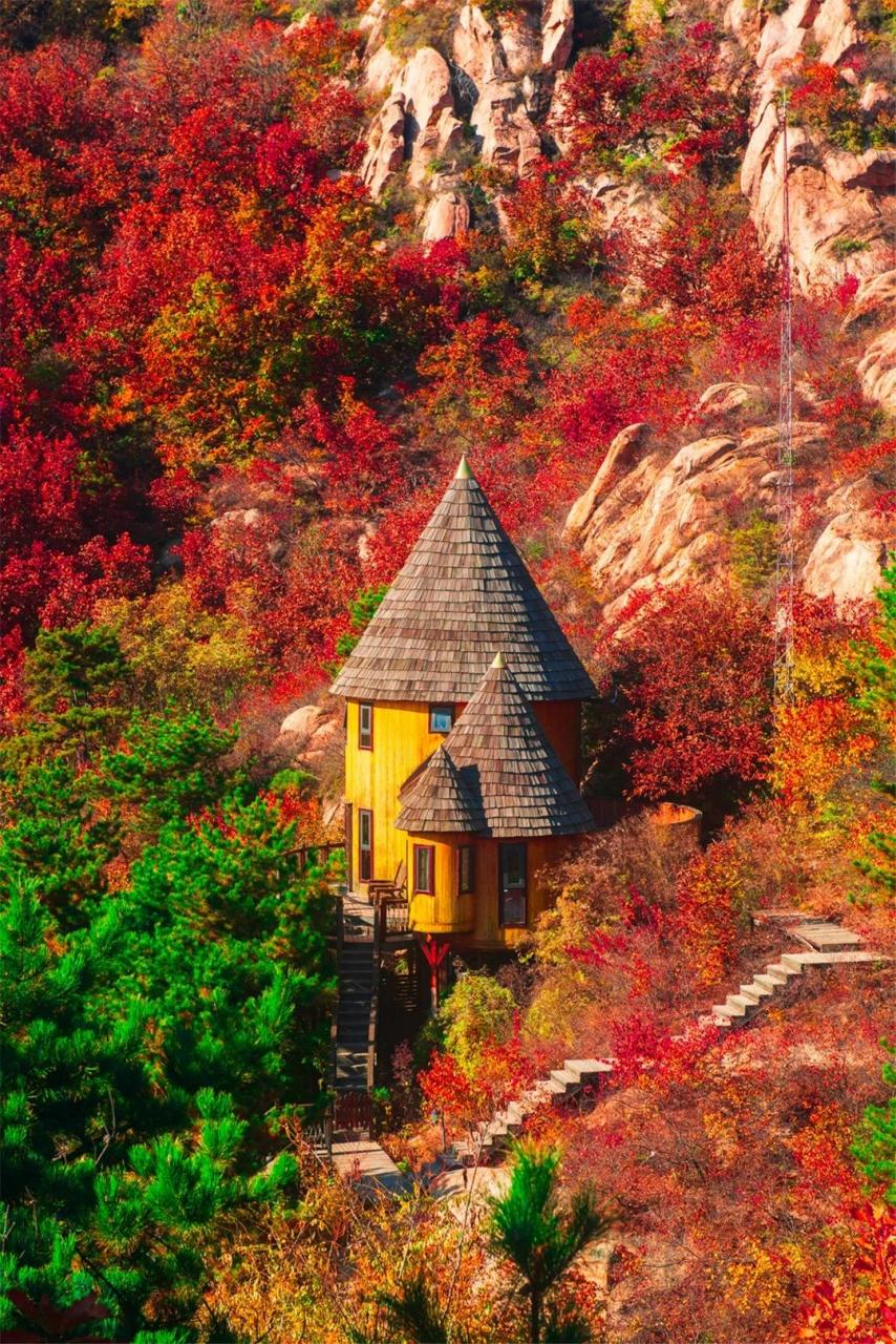秋季浪漫奢享之旅，在童话树屋与欧式古堡浅尝佳品美酿
