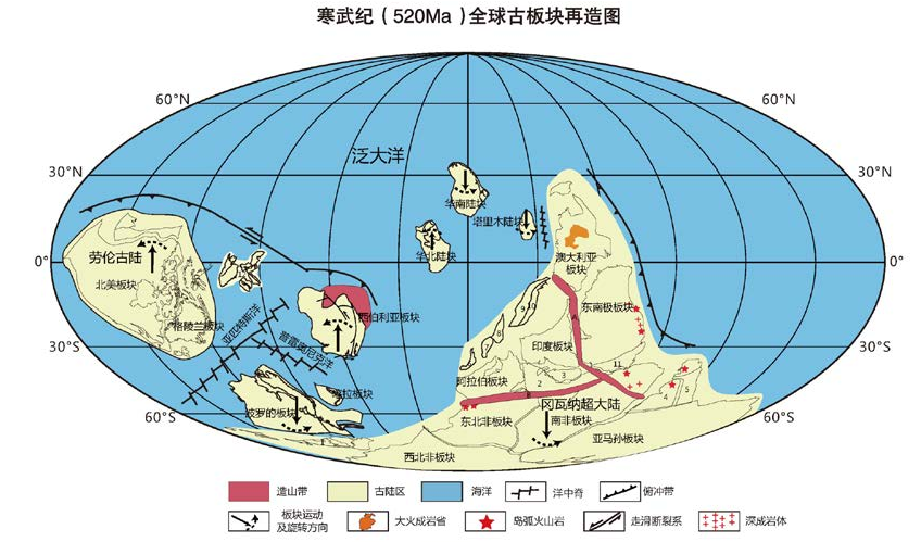 寒武纪——所有物种的进化都恰好选择了同一时期氧气是最主要因素