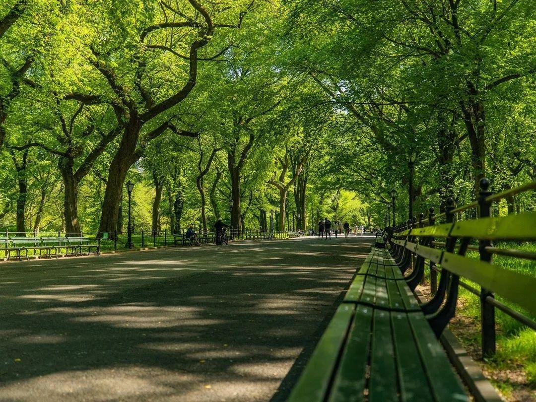 中央公园七大必去景点，你打卡了吗？
