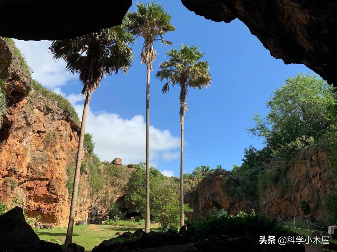 神秘岩画现非洲小岛，专家研究后发现，或是已灭绝物种的史前画像