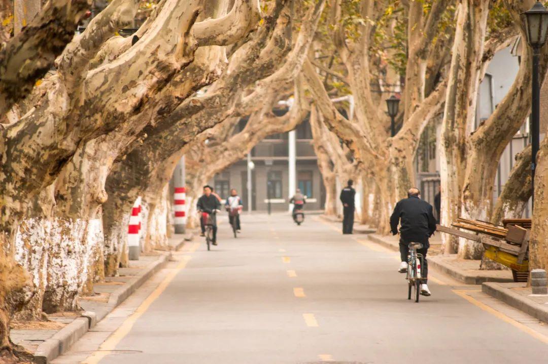 9月国内最值得去的九个旅行地，每一个都藏着绝美的风景