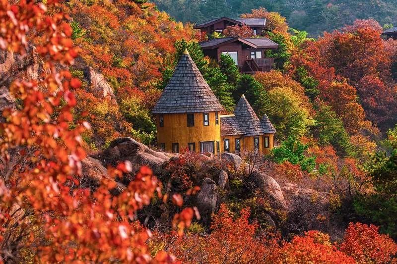 秋季浪漫奢享之旅，在童话树屋与欧式古堡浅尝佳品美酿