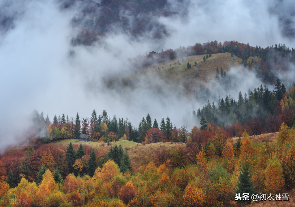 ​西湖秋色，巴山夜雨，两首经典秋雨诗，温暖秋雨中你的心