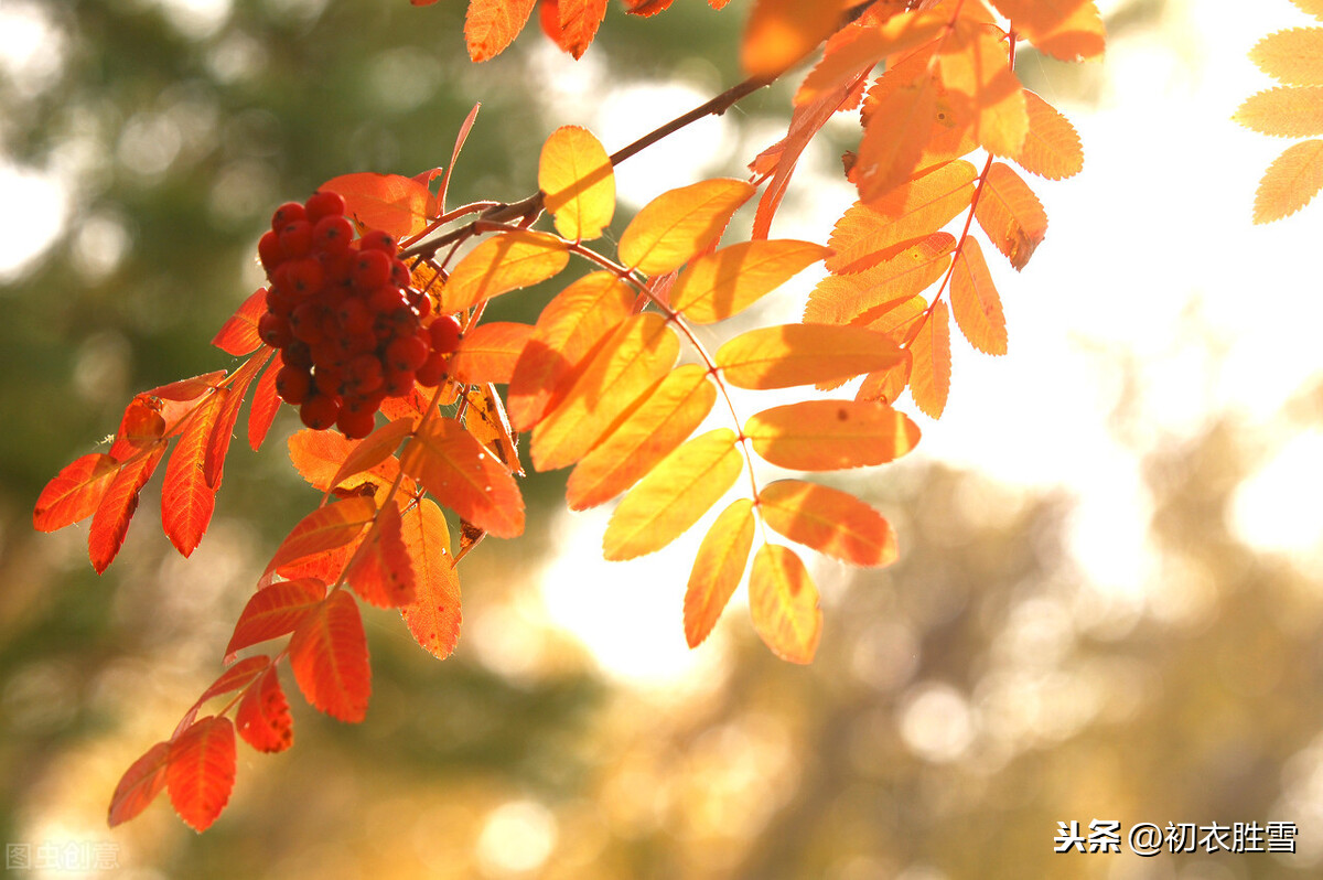 二十四节气之秋分诗：秋分八月中，寒暑喜均平，均平是什么意思？