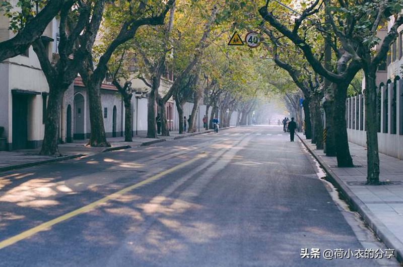 上海最适合秋天去的5个超美的地方，我全去过了，你呢？