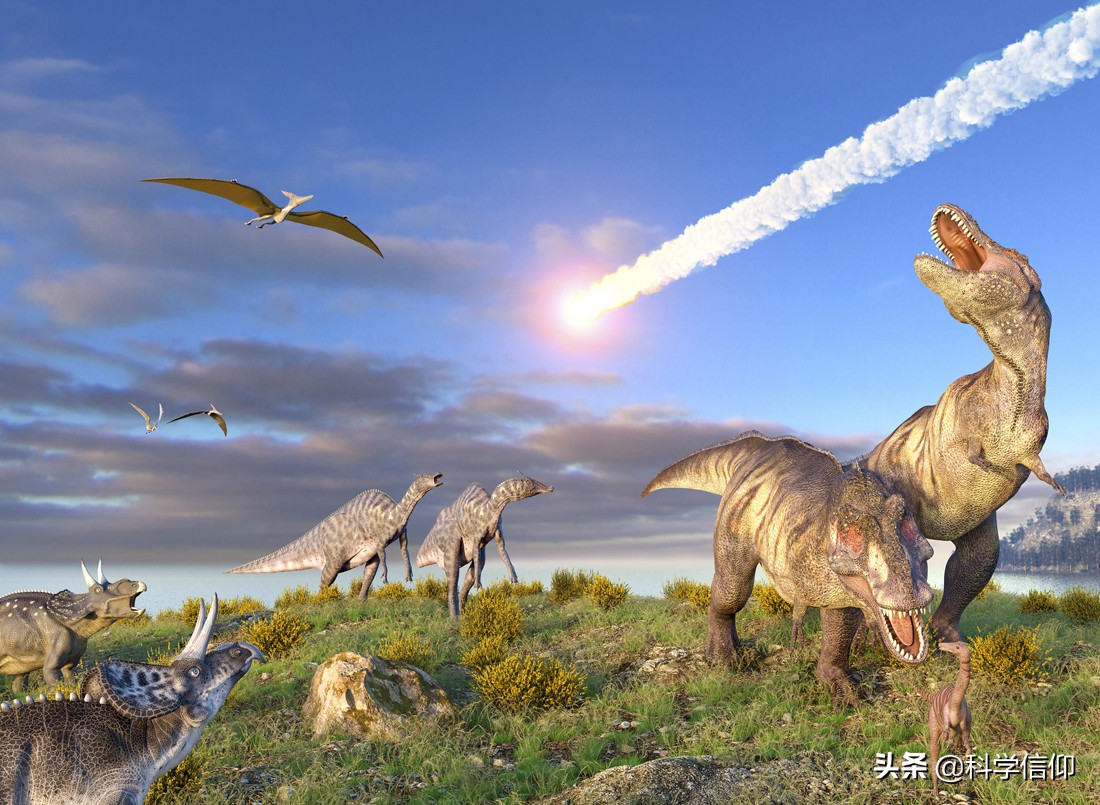 人类祖先其实与恐龙生活在同一时代，一场天外之灾，把它们解放了