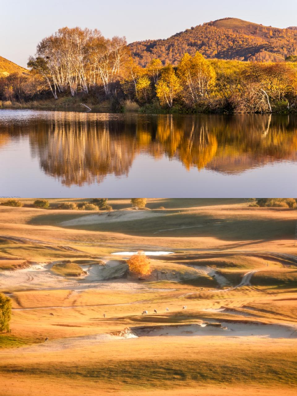 夏去秋来，和我一起去看只属于秋天的美景盛宴